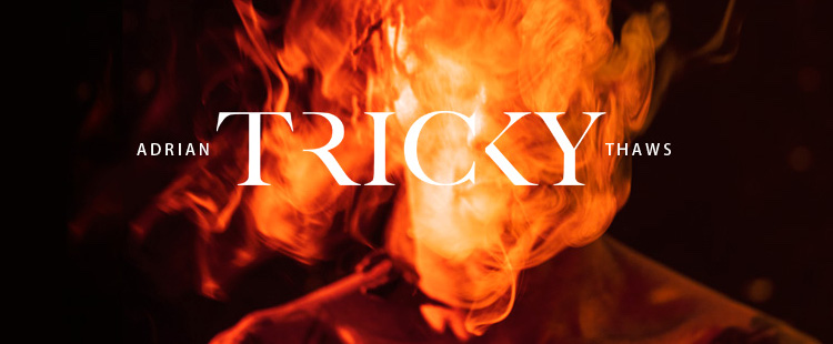 Tricky - My Palestine Girl feat. Blue Daisy