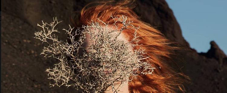 Goldfrapp - Ocean